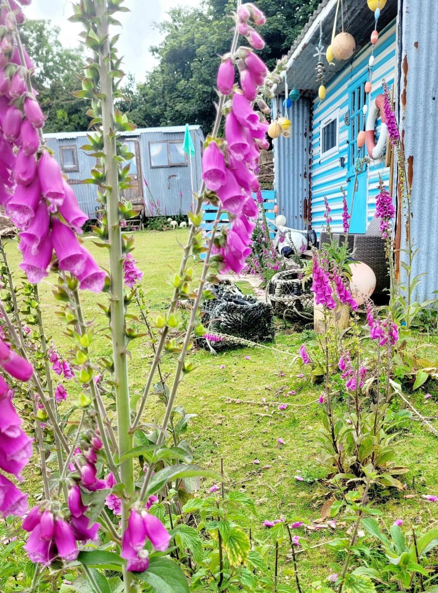 Treguth Glamping Unique Experience - Themed Huts Hotel Saint Day Kültér fotó