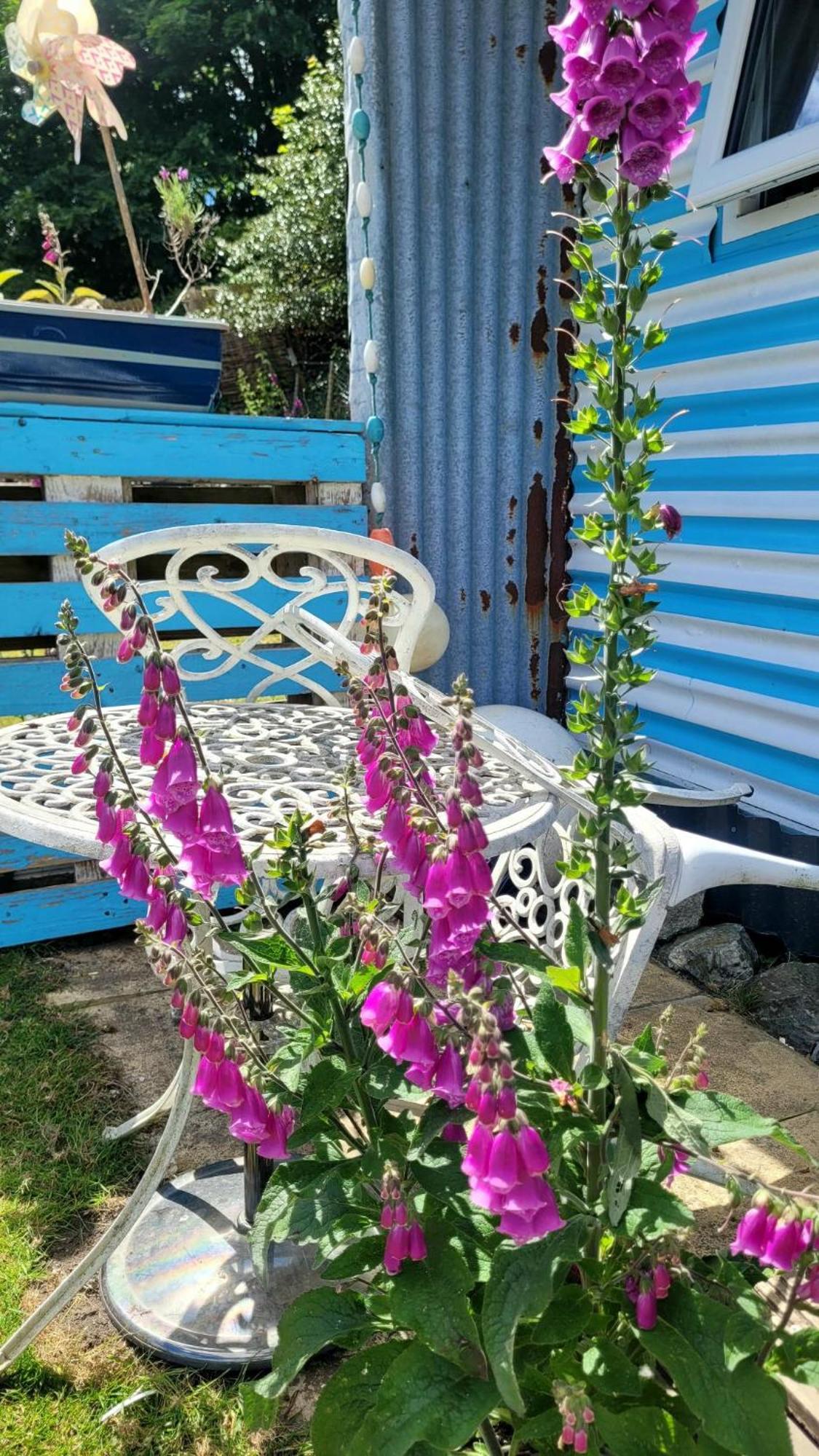Treguth Glamping Unique Experience - Themed Huts Hotel Saint Day Kültér fotó