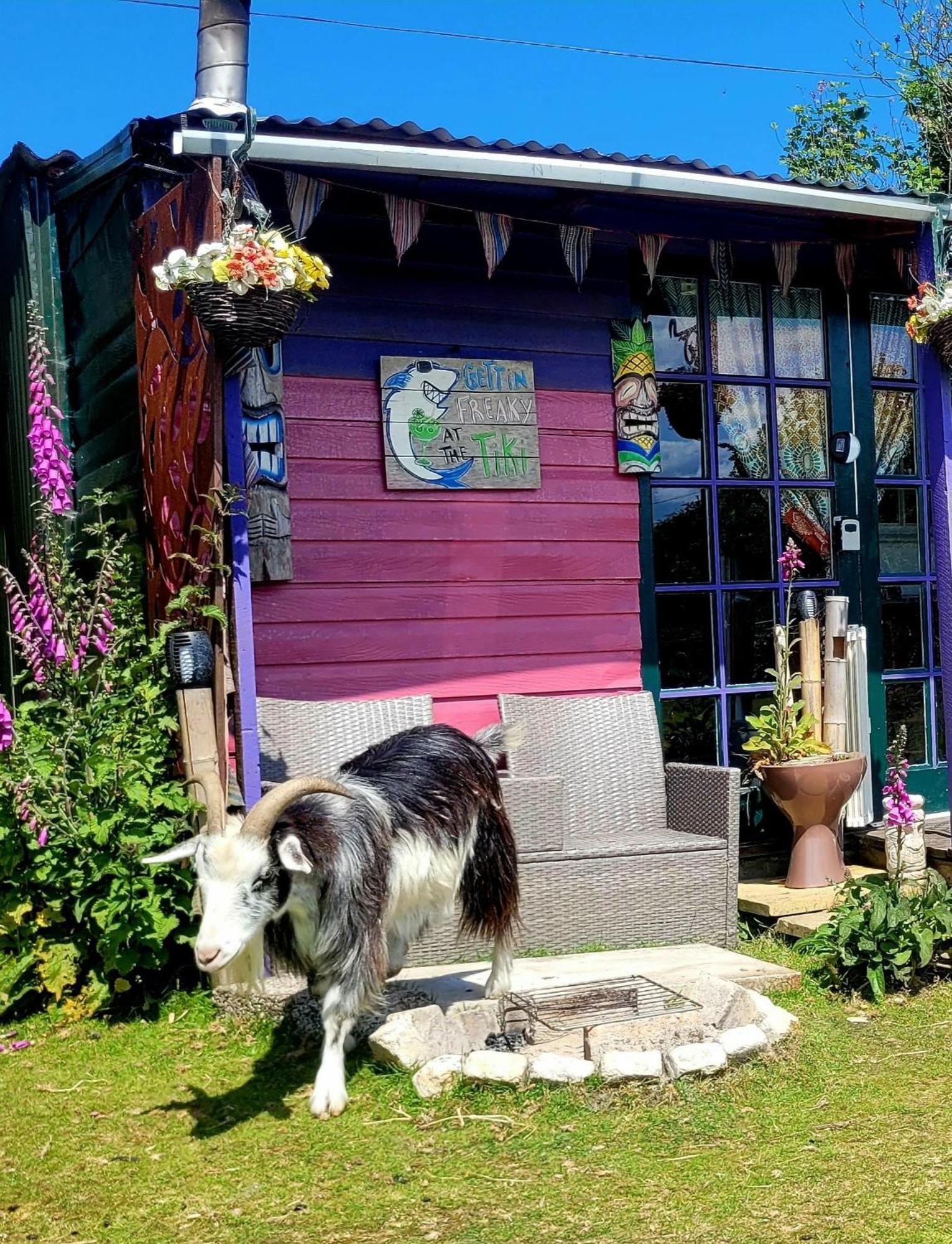 Treguth Glamping Unique Experience - Themed Huts Hotel Saint Day Kültér fotó