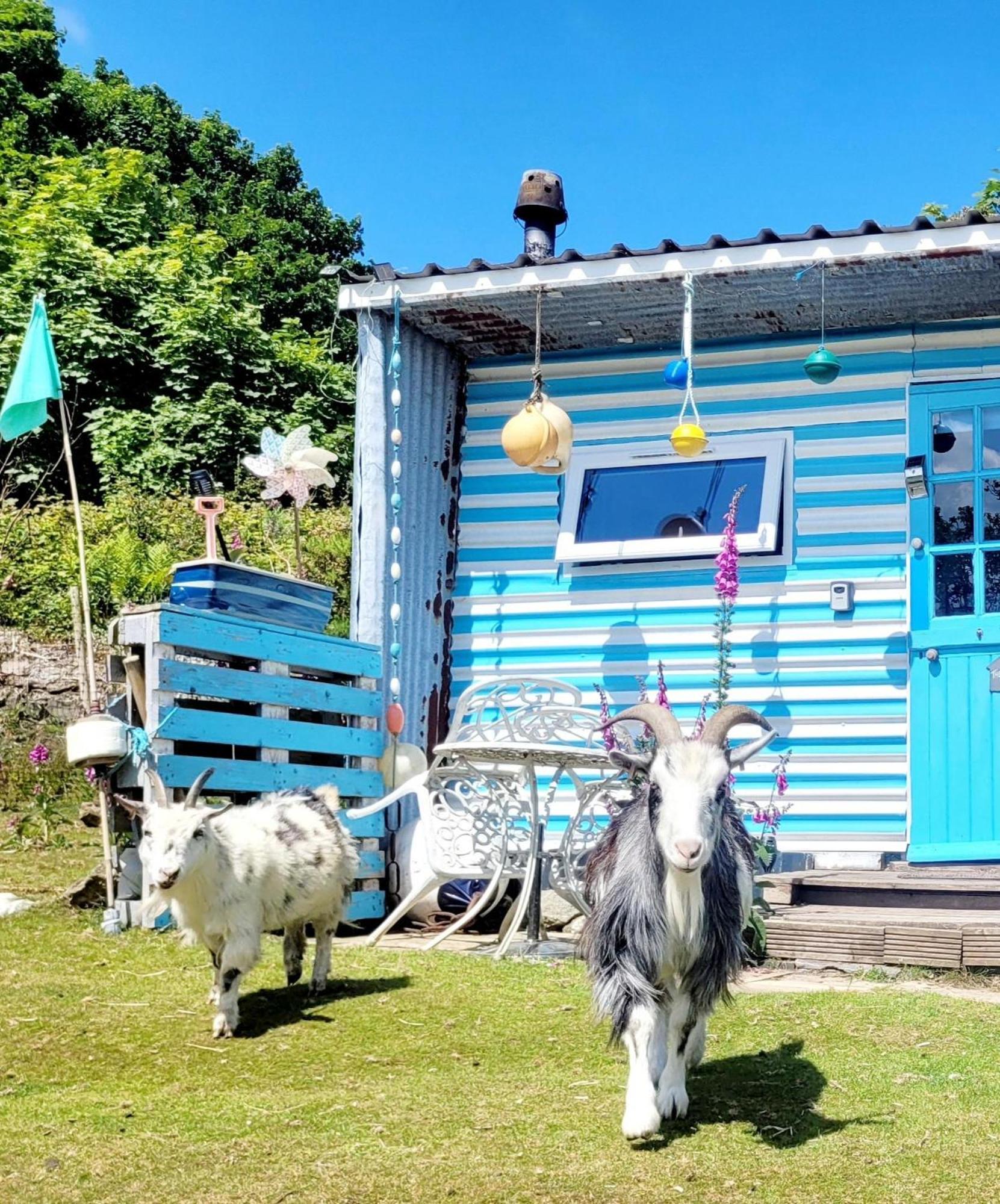 Treguth Glamping Unique Experience - Themed Huts Hotel Saint Day Kültér fotó