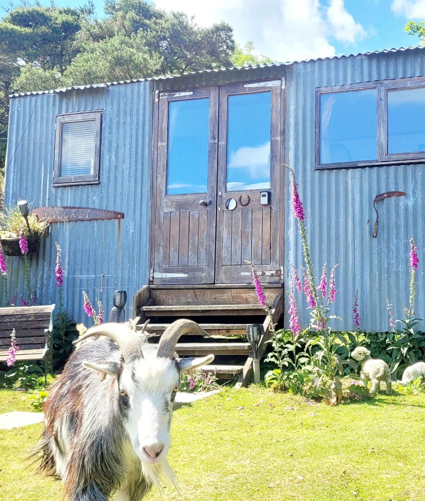 Treguth Glamping Unique Experience - Themed Huts Hotel Saint Day Kültér fotó