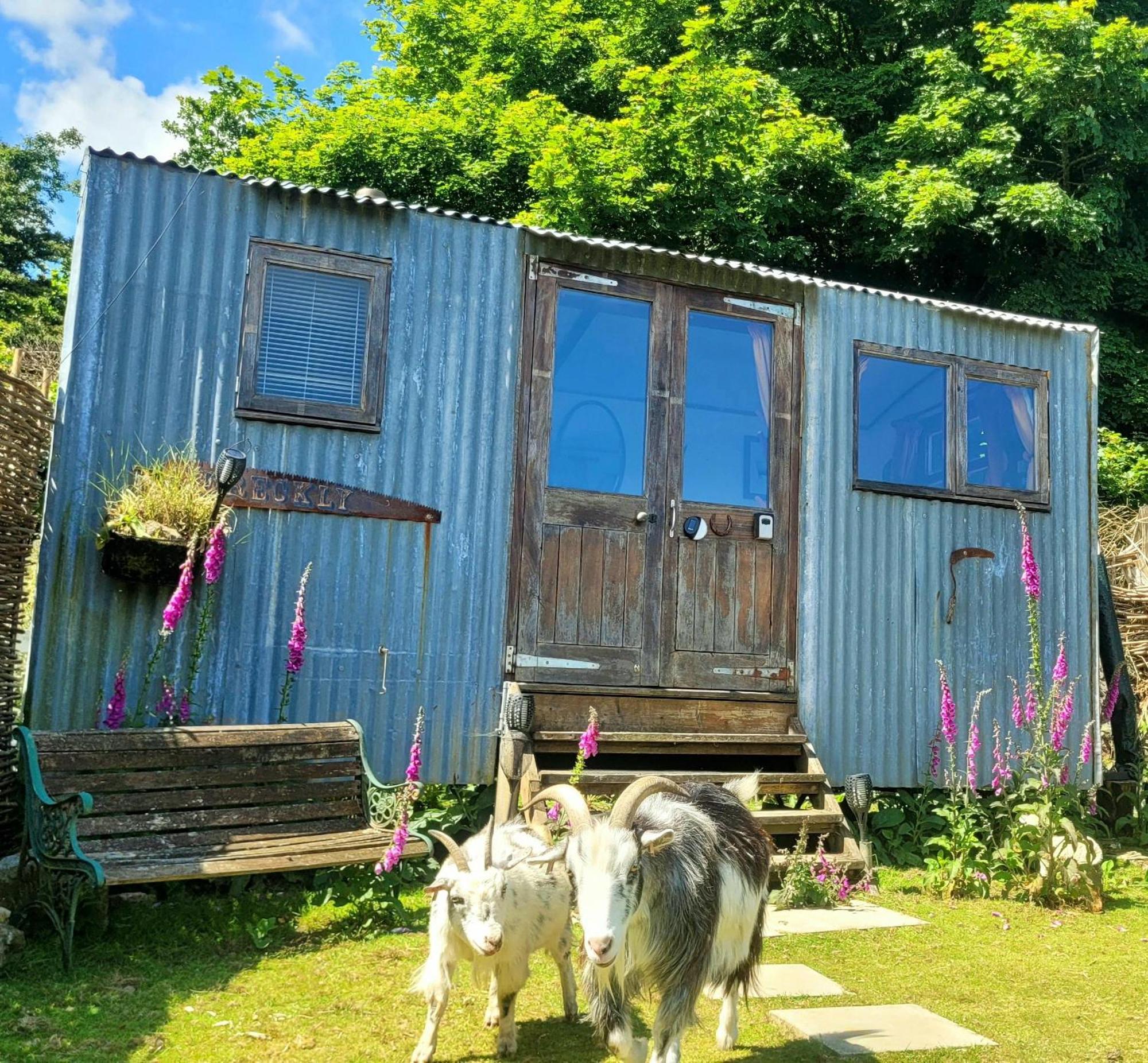 Treguth Glamping Unique Experience - Themed Huts Hotel Saint Day Kültér fotó