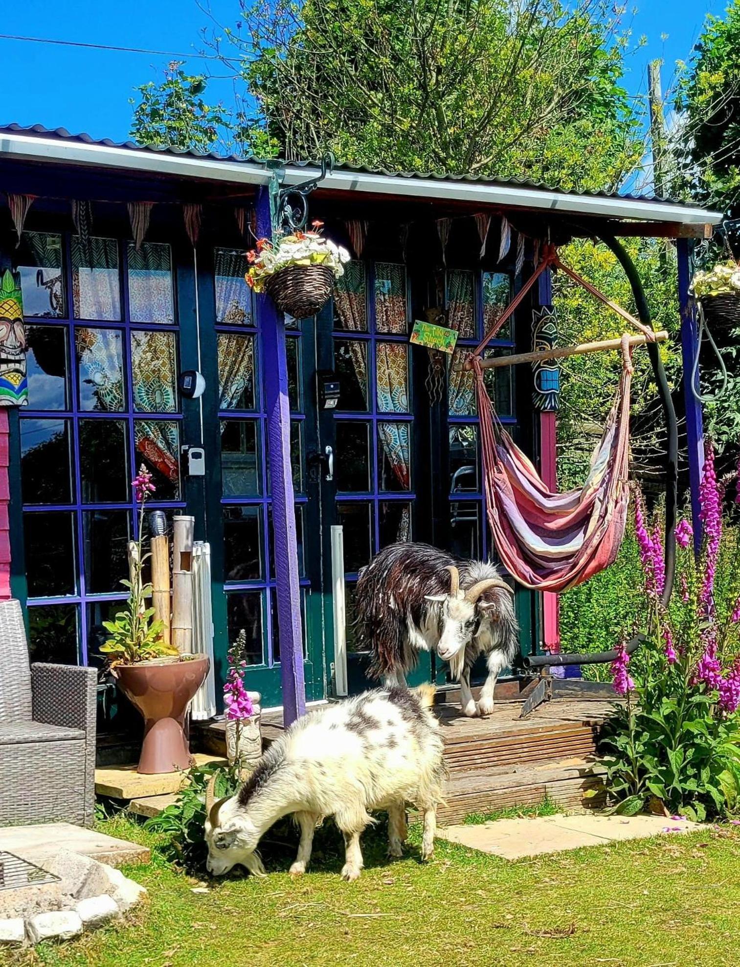 Treguth Glamping Unique Experience - Themed Huts Hotel Saint Day Kültér fotó