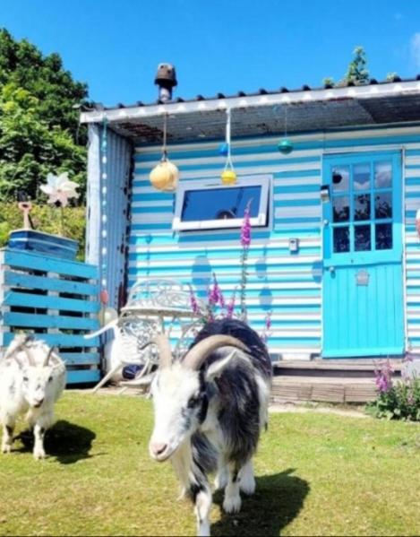 Treguth Glamping Unique Experience - Themed Huts Hotel Saint Day Kültér fotó
